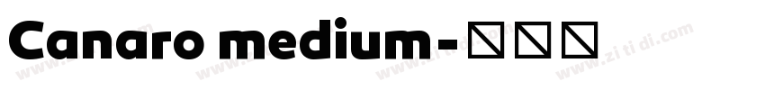 Canaro medium字体转换